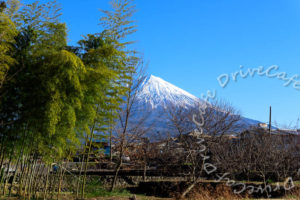 富士山を見に行ってきました
