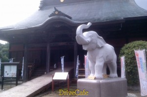 梅雨の合間のドライブにゾウ?