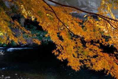 養老渓谷と勝浦八幡岬
