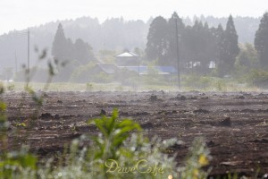 銚子へお出かけ