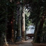 神社にて