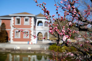 都電荒川線沿線 再訪