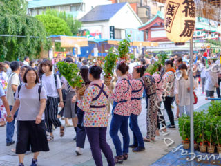 四万六千日・ほおずき市