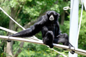 千葉動物公園でダメダメフォト
